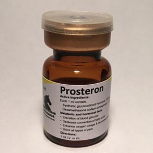 Prosteron 5 mL for Horses