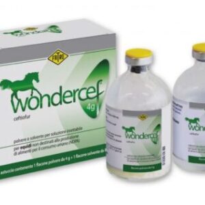 wondercef