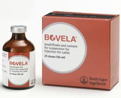 bovela vaccine