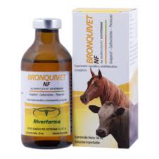 Bronquivet