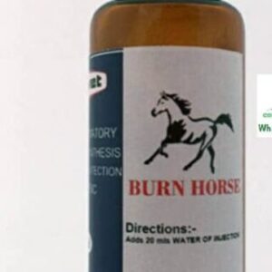 Burn Horse