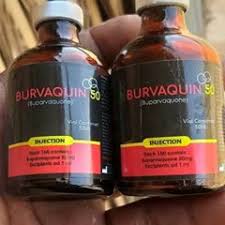 burvaquin