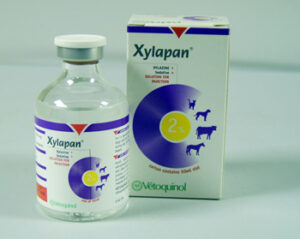 Xylapan Injection