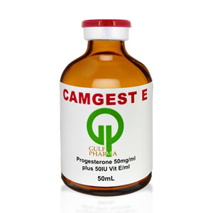 Camgest E 50ml Injection