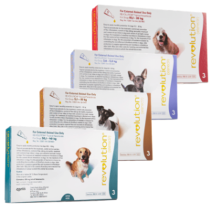 Revolution Plus for Cats