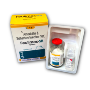 Amoxicillin and Sulbactam Injection