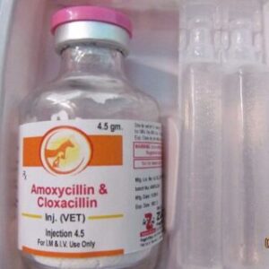 Buy Amoxicillin Injection