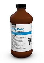 Regu-Mate Oral Solution 1000ml