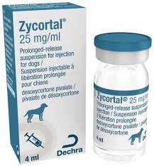 Zycortal for Dogs