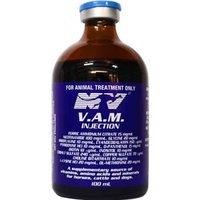Buy vam paste for horses
