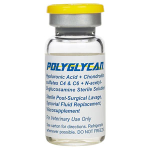 polyglycan for horses